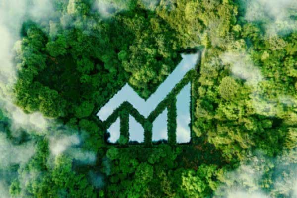 多重利空施压！印度卢比或领跌亚洲货币 年底恐刷新历史低点